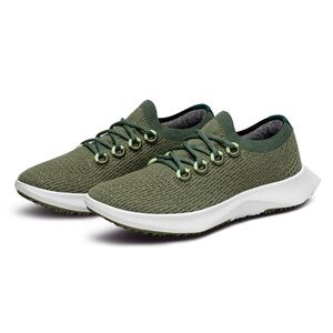 Allbirds tree dasher sneaker